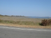 drivin-it-home-354