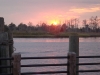 drivin-it-home-373